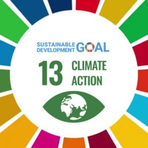 Environment & SDGs